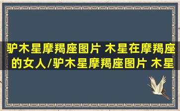 驴木星摩羯座图片 木星在摩羯座的女人/驴木星摩羯座图片 木星在摩羯座的女人-我的网站